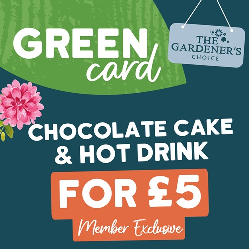 Chocolate Cake & Hot Drink – G Choice