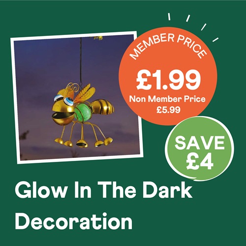 Glow in the Dark Hanging Decoration